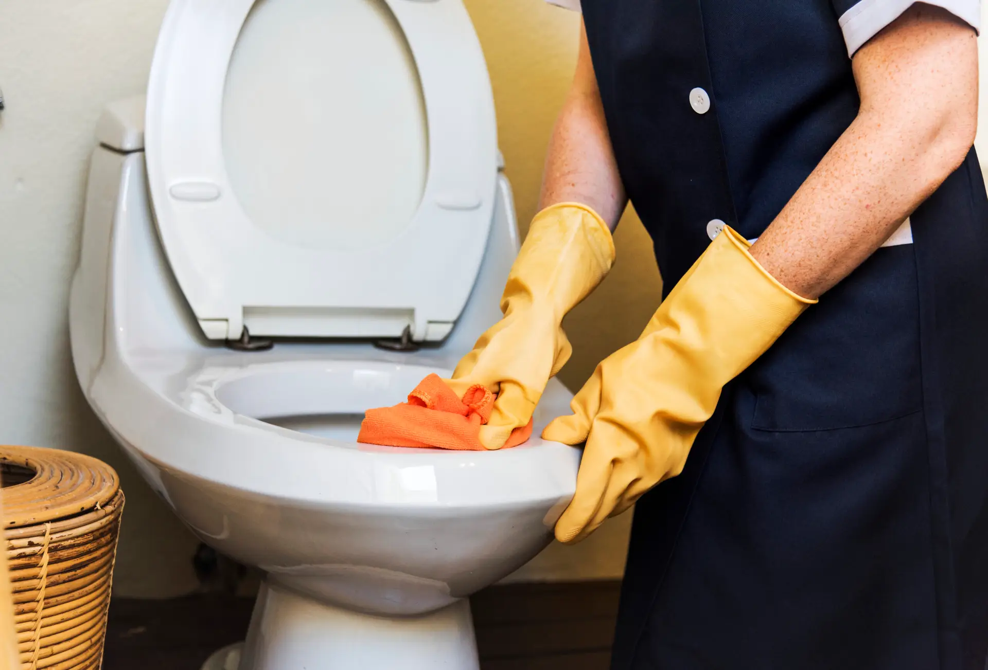 Sanitize a Bathroom